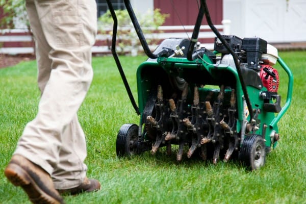 Lawn Aeration by Contreras Lawn & Landscape