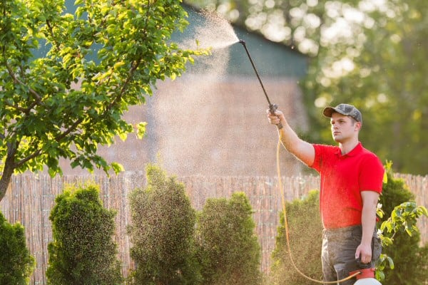 Tree & Shrub Care by Contreras Lawn & Landscape