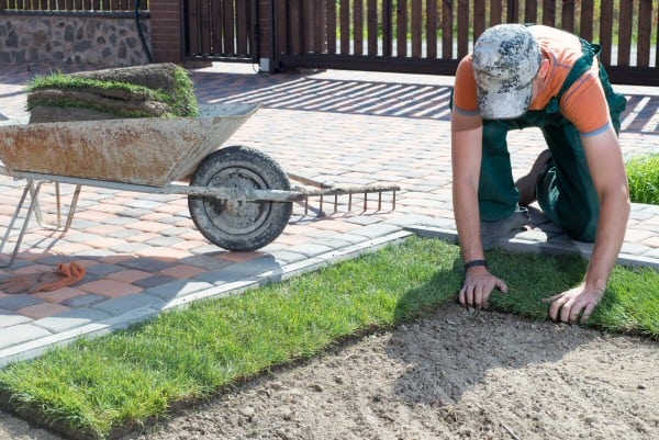 Sod Installation by Contreras Lawn & Landscape