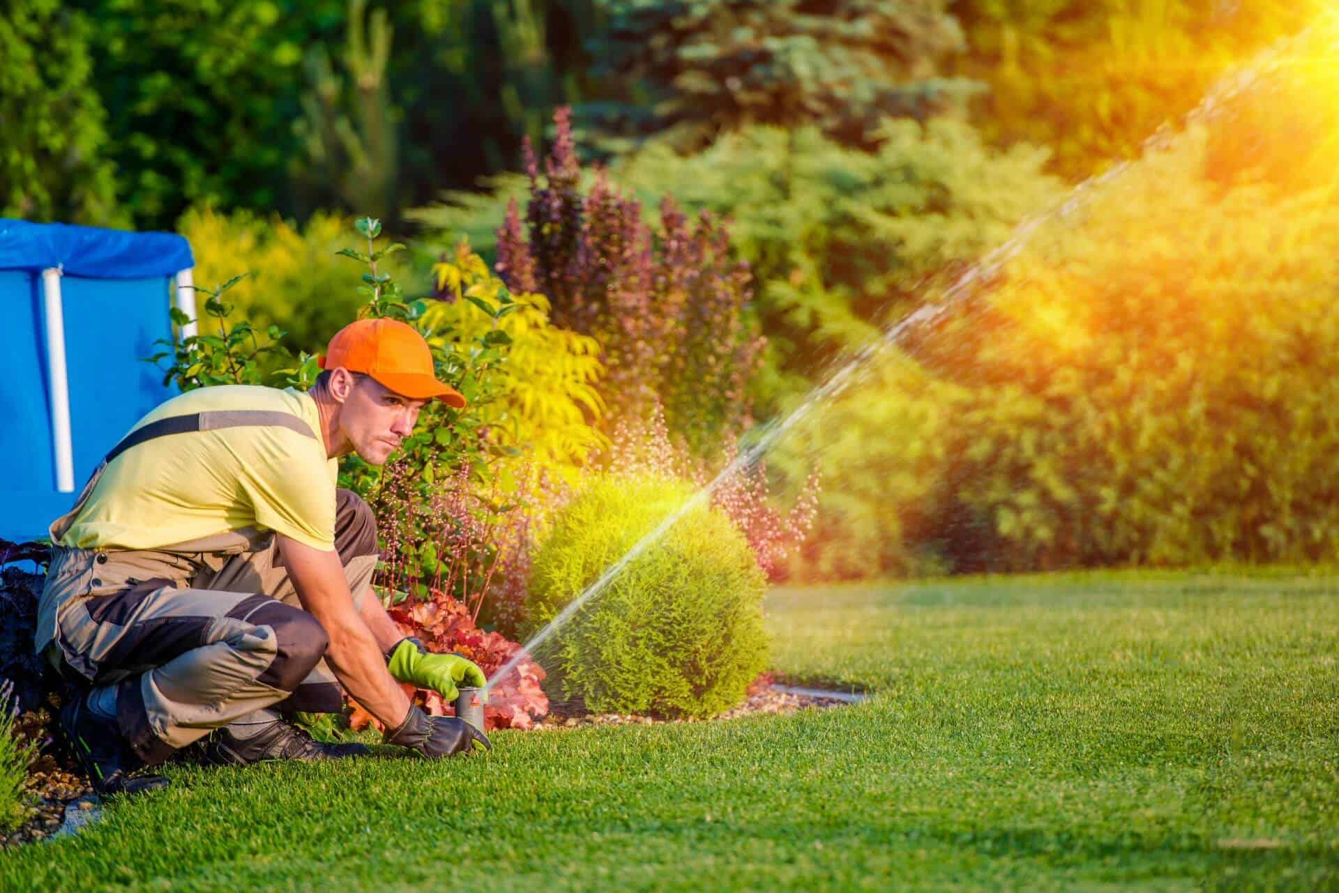 Professional Landscaping Services