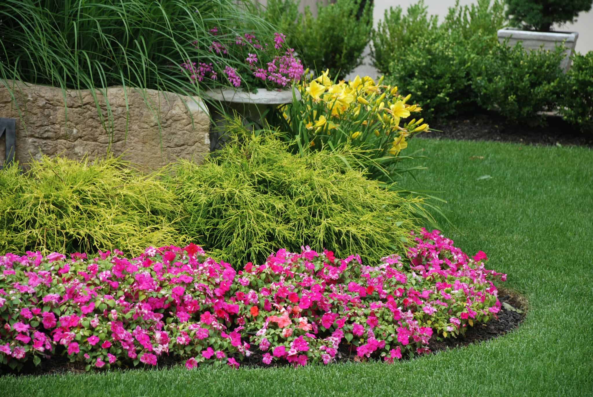 Professional Landscaping Services